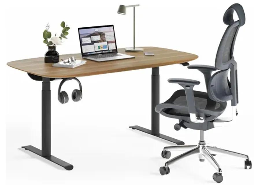 Soma Lift Desk