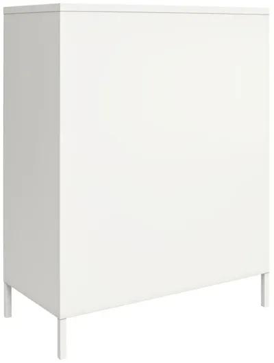 Shadwick 2 Door Metal Locker Style Accent Storage Cabinet