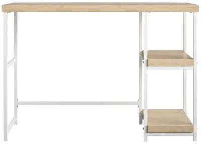 Kimberly Kids Desk with Reversible Shelves and Large Work Surface