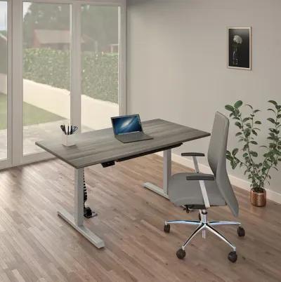 Sit and Stand 48 Inch Adjustable Height Pro-Desk with LED Control Panel