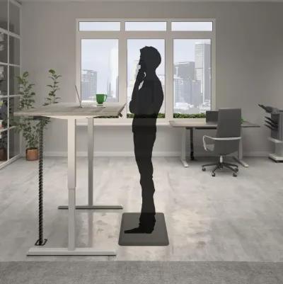 Sit and Stand 48 Inch Adjustable Height Pro-Desk with LED Control Panel