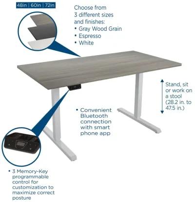 Sit and Stand 48 Inch Adjustable Height Pro-Desk with LED Control Panel