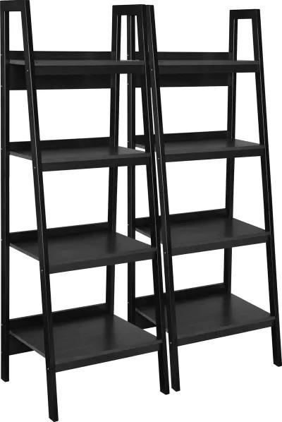 Lawrence 4 Shelf Ladder Bookcase Bundle, Set of 2