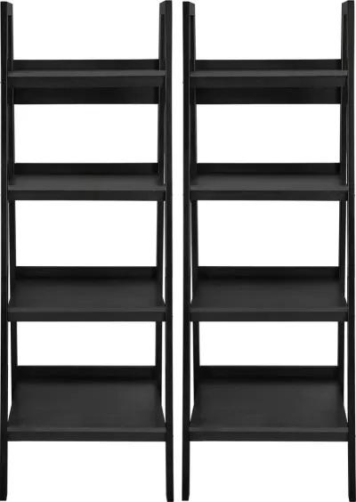 Lawrence 4 Shelf Ladder Bookcase Bundle, Set of 2