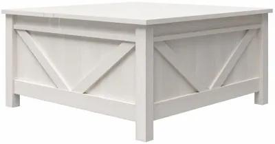 Farmington Lift-Top Coffee Table with Hidden Storage Inside