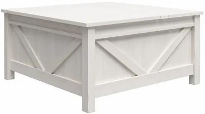 Farmington Lift-Top Coffee Table with Hidden Storage Inside