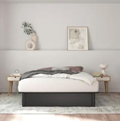 Maven Platform Upholstered Bed with Modern Low Profile Design