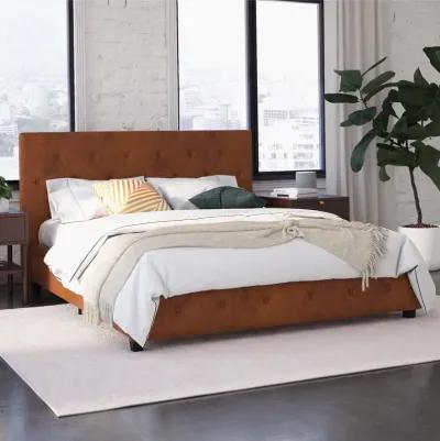 Dakota Upholstered Platform Bed With Diamond Button Tufted Heaboard