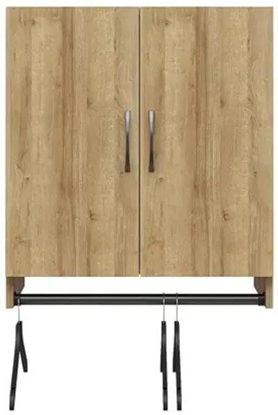 Basin 2 Door Wall Storage Cabinet with Hanging Rod