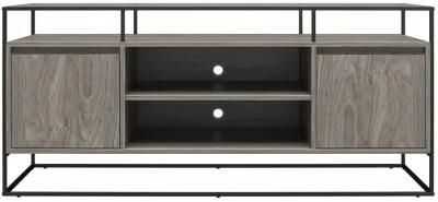 Camley Modern Media Console TV Stand for TVs up to 54 Inches