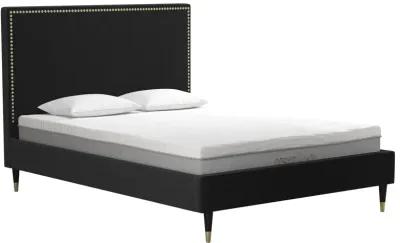 Audrey Velvet Upholstered Bed with Headboard and Nailheads