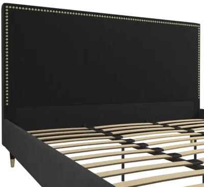 Audrey Velvet Upholstered Bed with Headboard and Nailheads