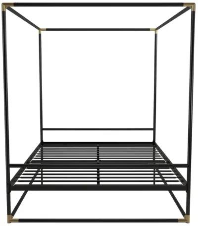 Celeste Canopy Metal Bed with Gold Accents