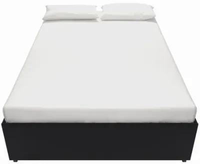 Maven Platform Bed with 2 Storage Drawers