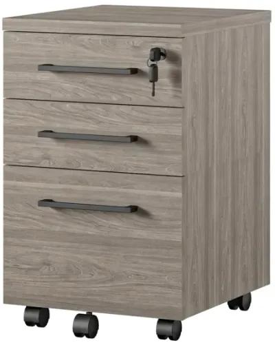 Parkside Mobile File Cabinet