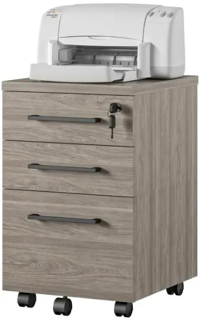 Parkside Mobile File Cabinet