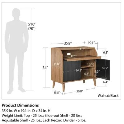 Magnolia Record Stand / Convertible Adjustable Shelf and or Record Dividers