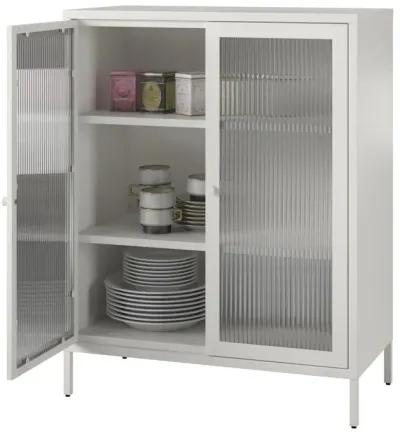 Shadwick 2 Door Metal Locker Accent Storage Cabinet-Fluted Glass Doors