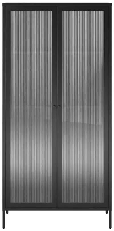 Shadwick 2 Door Tall Metal Locker Style Storage Cabinet-Fluted Glass Doors