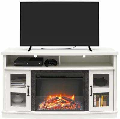 Barrow Creek Fireplace Console with Glass Doors for TVs up to 60"