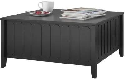 Her Majesty Lift Top Coffee Table with Hidden Storage