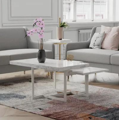 Brielle 2-Tier Coffee Table with Metal Base