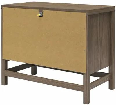 Lennon 2 Drawer Wide Nightstand with Faux Rattan