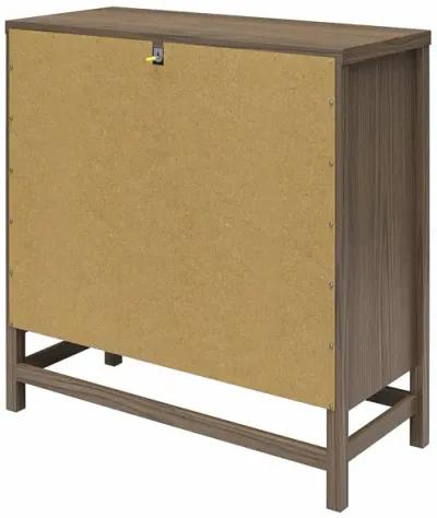 Lennon 2 Door Storage Cabinet with Faux Rattan