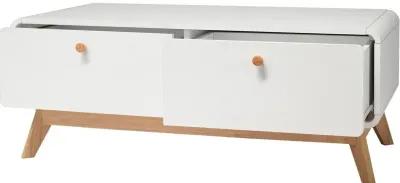 Leva Scandinavian Style TV Stand with 2 Drawers