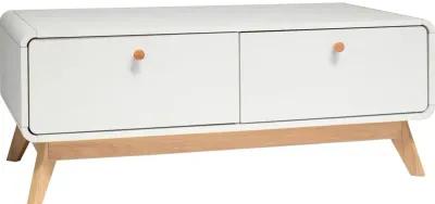 Leva Scandinavian Style TV Stand with 2 Drawers