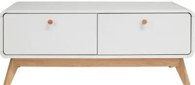 Leva Scandinavian Style TV Stand with 2 Drawers