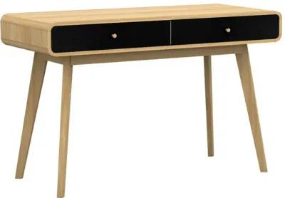 Leva Scandinavian Style Desk with 2 Drawers