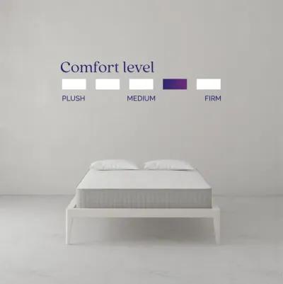 Hush 8" Independently Encased Coil Mattress