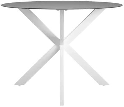 Circi Dining Table with Glass Top