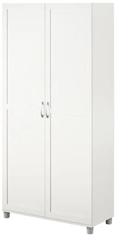 Basin Framed 36 Inch Utility Cabinet with 5 Shelves