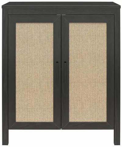 Amberly 2 Door Accent Cabinet