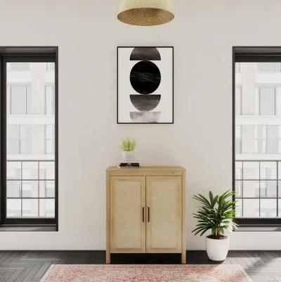 Amberly 2 Door Accent Cabinet