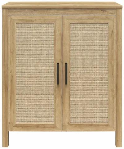 Amberly 2 Door Accent Cabinet