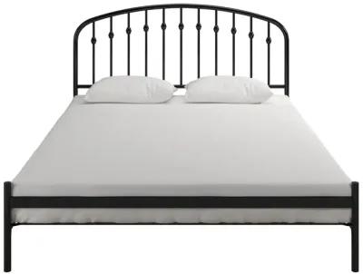 Narla Metal Platform Bed Frame