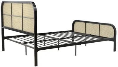 Roxanne Metal and Cane Platform Bed