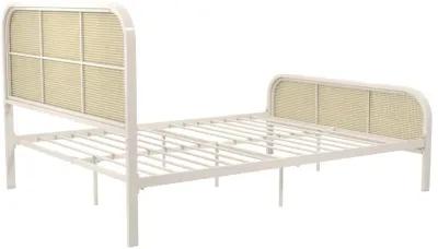 Roxanne Metal and Cane Platform Bed