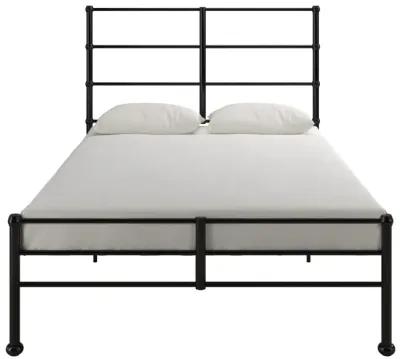 MacKenzie Adaptable Metal Platform Bed