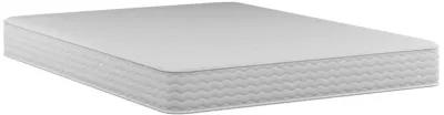 Contour Plus 10" Coil Reversible Mattress