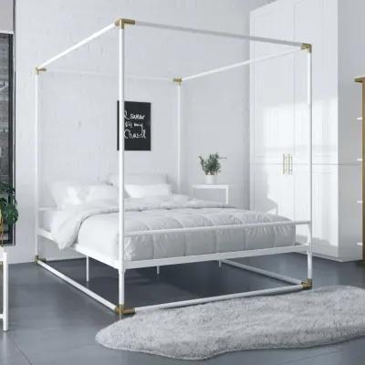 Celeste Canopy Metal Bed with Gold Accents