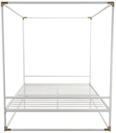 Celeste Canopy Metal Bed with Gold Accents