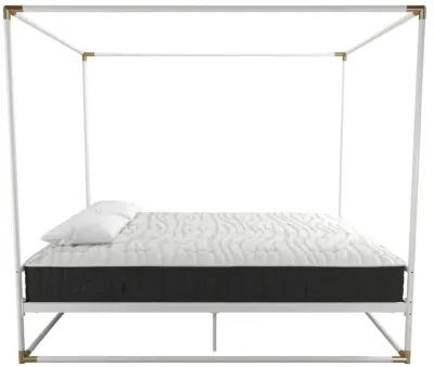 Celeste Canopy Metal Bed with Gold Accents