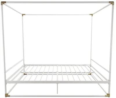 Celeste Canopy Metal Bed with Gold Accents