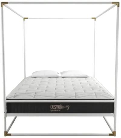 Celeste Canopy Metal Bed with Gold Accents