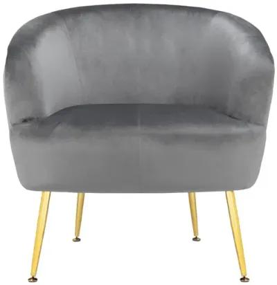 Kara Teddy Soft Accent Chair with Gold Legs