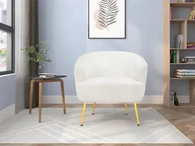 Kara Teddy Soft Accent Chair with Gold Legs